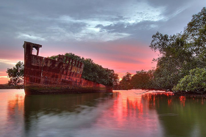 More Than A Century Old Abandoned Ship Turns Into A Floating Forest