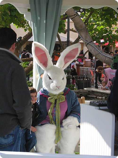 Top 30 Funny Rabbit Disguise Photos