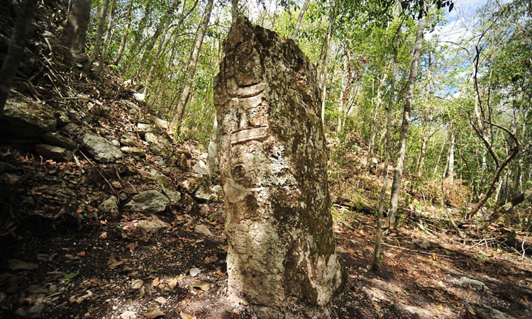 Archaeologists Discover More Than 1000 Year Old Mayan City In A Forest Of Mexico