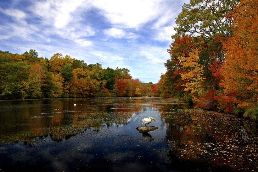 The Young's Pond in Connecticut