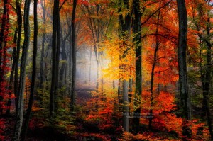 The Most Beautiful Landscape Photography