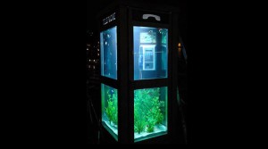 Phone booth aquarium