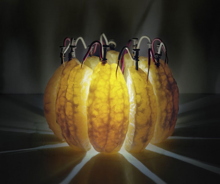 An Artist Illuminates Bulbs With Fruits And Vegetables, How Astonishing!!!