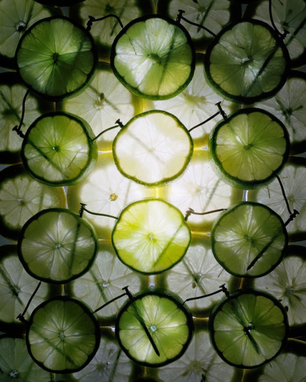 Electricity Produce By Using Fruits 5 TechnoCrazed