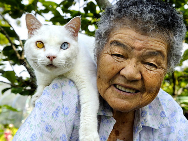 Eye Of The Camera Immortalizes Love Between Grandmother And Her Cat (Photo Gallery)