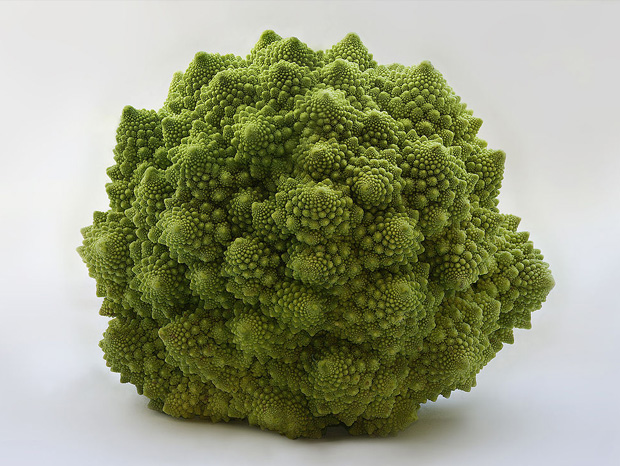 Incredible Examples Of Fractals Found In Nature (Photo Gallery)