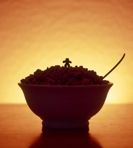 Cerealism-Amazing Artworks And landscapes Created Using Breakfast Cereals-13