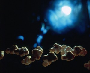 Cerealism-Amazing Artworks And landscapes Created Using Breakfast Cereals-5