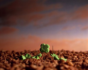 Cerealism-Amazing Artworks And landscapes Created Using Breakfast Cereals-7