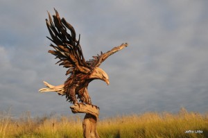 Jeffro makes impressive sculptures made only with wood-9