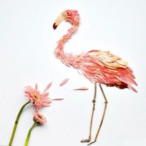 Beautiful Multicolored Birds Made From Hundreds Of Flower Petals-1