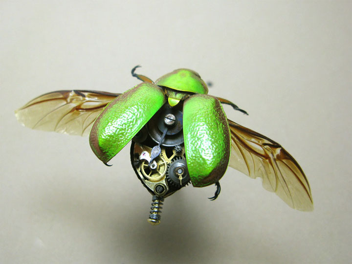 Discover The Impressive Bionic Insects From Insect Labs (Photo Gallery)