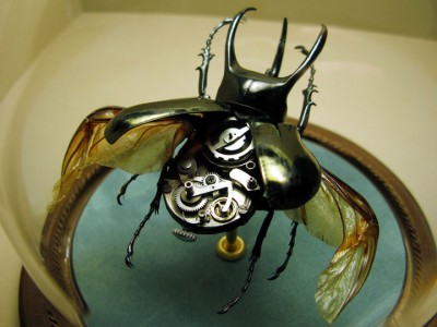Discover The Impressive Bionic Insects From Insect Labs-10