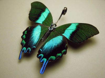 Discover The Impressive Bionic Insects From Insect Labs-25