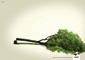 20 Most Striking WWF Posters That Will Motivate You To Fight For The Planet-9