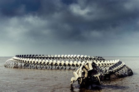 A Giant Aluminium Made Skeleton Of Serpent On the Beach of Loire, France-16