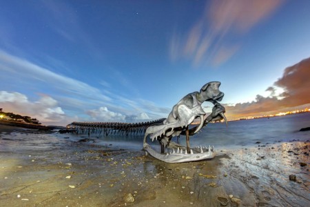 A Giant Aluminium Made Skeleton Of Serpent On the Beach of Loire, France-7