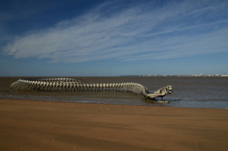 A Giant Aluminium Made Skeleton Of Serpent On the Beach of Loire, France-9