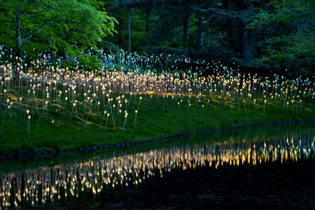 Enjoy A Walk Through The Lavish Garden Lights of Bruce-3
