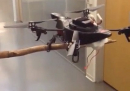 A New Robotic Leg Enables Drones To Perch For Spying Missions-