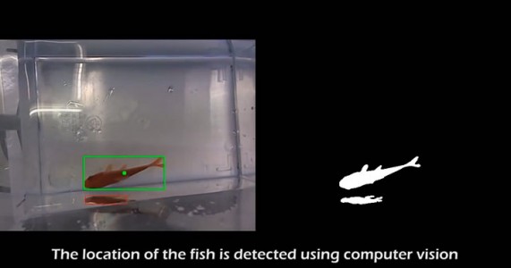 Engineers Invent A Mobile Aquarium Driven By The Movements Of Fish (Video)-