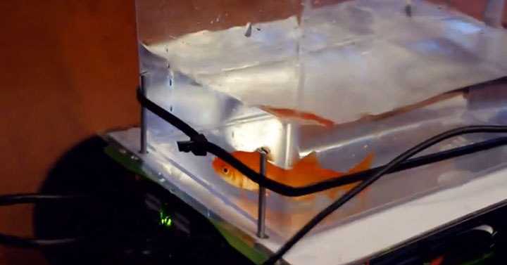Engineers Invent A Mobile Aquarium Driven By The Movements Of Fish (Video)-1