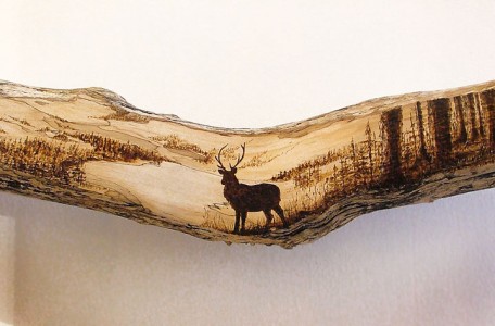 PYROGRAPHY: Impressive Portraits Of Nature Realized By The Careful Burning Of Wood -12