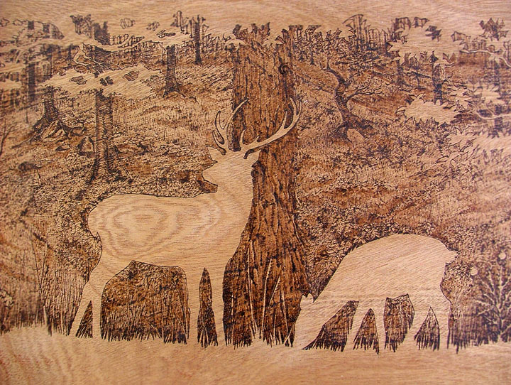 PYROGRAPHY: Impressive Portraits Of Nature Realized By The Careful Burning Of Wood -3