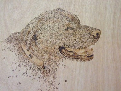 PYROGRAPHY: Impressive Portraits Of Nature Realized By The Careful Burning Of Wood -4