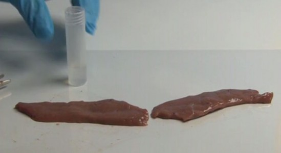 A Super Glue That Quickly Connects Human Tissue Will Revolutionize Surgery (Video)-3