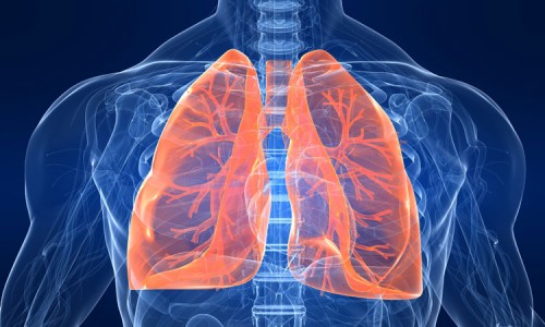 The World's First Artificial Lung: A Major Breakthrough For The Future Of Transplantation-2