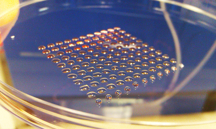 3D Printing Can Now Create Human Tissue To Heal Your Wounds-5