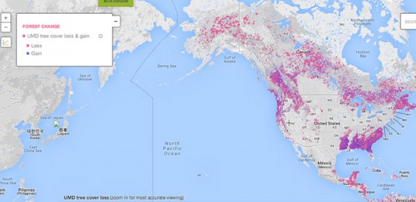This Interactive World Map Reveals The Massive Deforestation Of Earth In Real Time-3