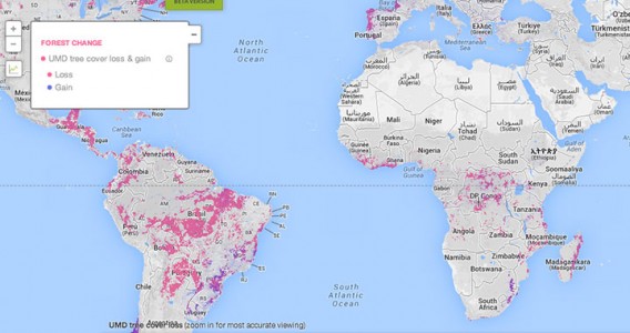 This Interactive World Map Reveals The Massive Deforestation Of Earth In Real Time-6