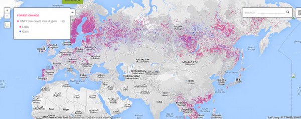 This Interactive World Map Reveals The Massive Deforestation Of Earth In Real Time-7