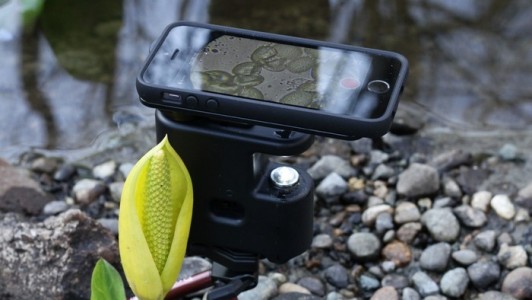 MicrobeScope Turns Your iPhone Into A Microscope-1