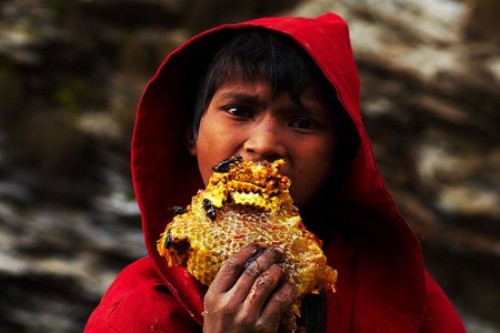 Nepalese Honey Hunter Risk Their Lives On High Cliffs To Feed Their Families -3