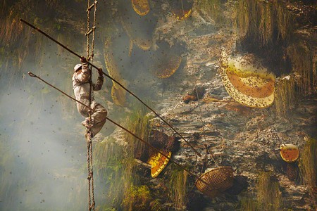 Nepalese Honey Hunter Risk Their Lives On High Cliffs To Feed Their Families -5