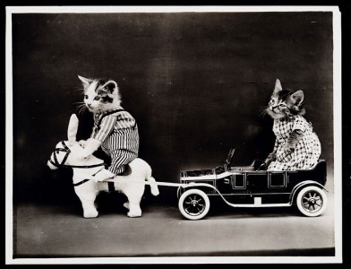 Old Is Gold-Amazing Cat Fashion From 1915 -18