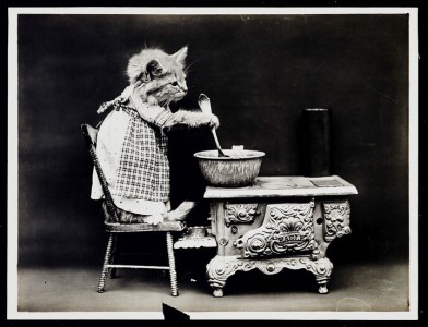 Old Is Gold-Amazing Cat Fashion From 1915 -4