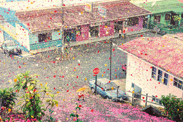 Amazing Spectacle Of 8000000 Flower Petals Falling On A Small Village (Video)