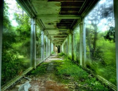 Empty Spaces: A Photographer Shares His Passion For Abandoned Places (Photo Gallery)-2