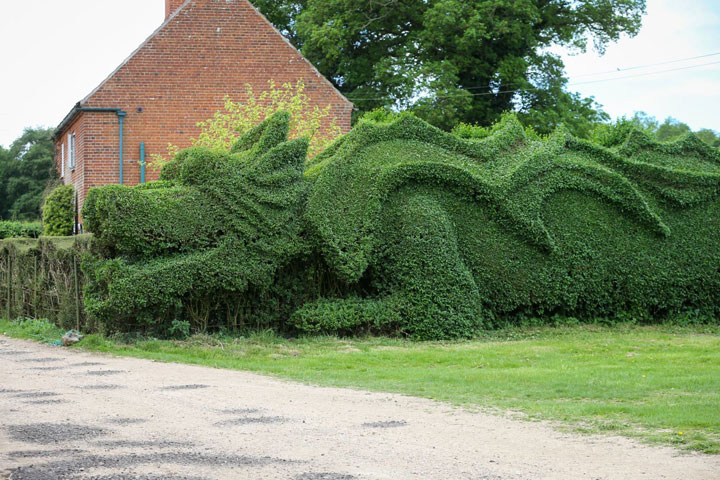 An English Gardener Grows A Giant Dragon In His Garden-4