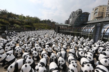 1600 Paper Mache Pandas Invade The City Of Hong Kong-3