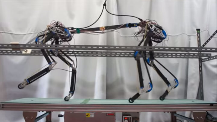 Pneupard: A Quadruped Robot Walks Like A Cheetah Using Artificial Muscles-1
