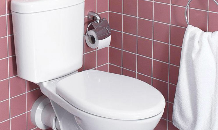 Researchers Design A Toilet That Can Generate Electricity-