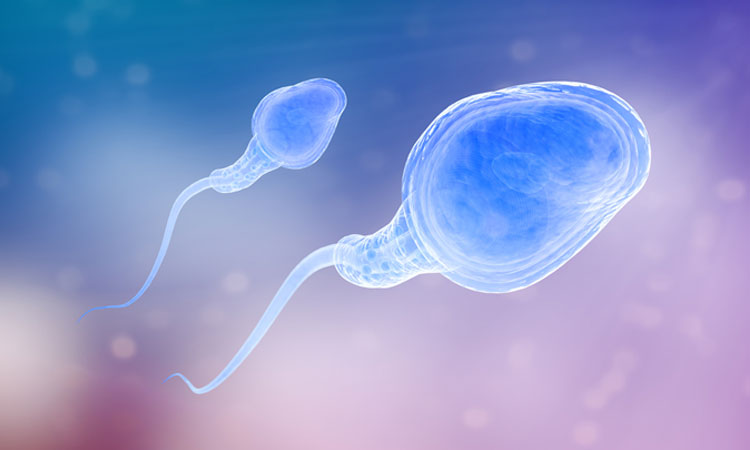 Scientists Have Succeeded In Creating Sperm From Human Skin