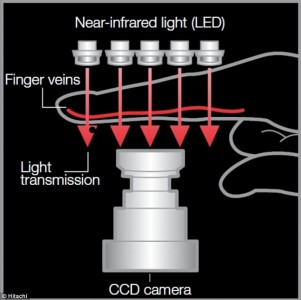 Working of Biometric system