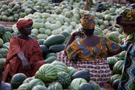 African Farmers Use SMS To Optimize The Harvest Management-