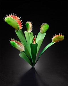 Gigantic And Realistic Flower Sculptures Made From Glass -4